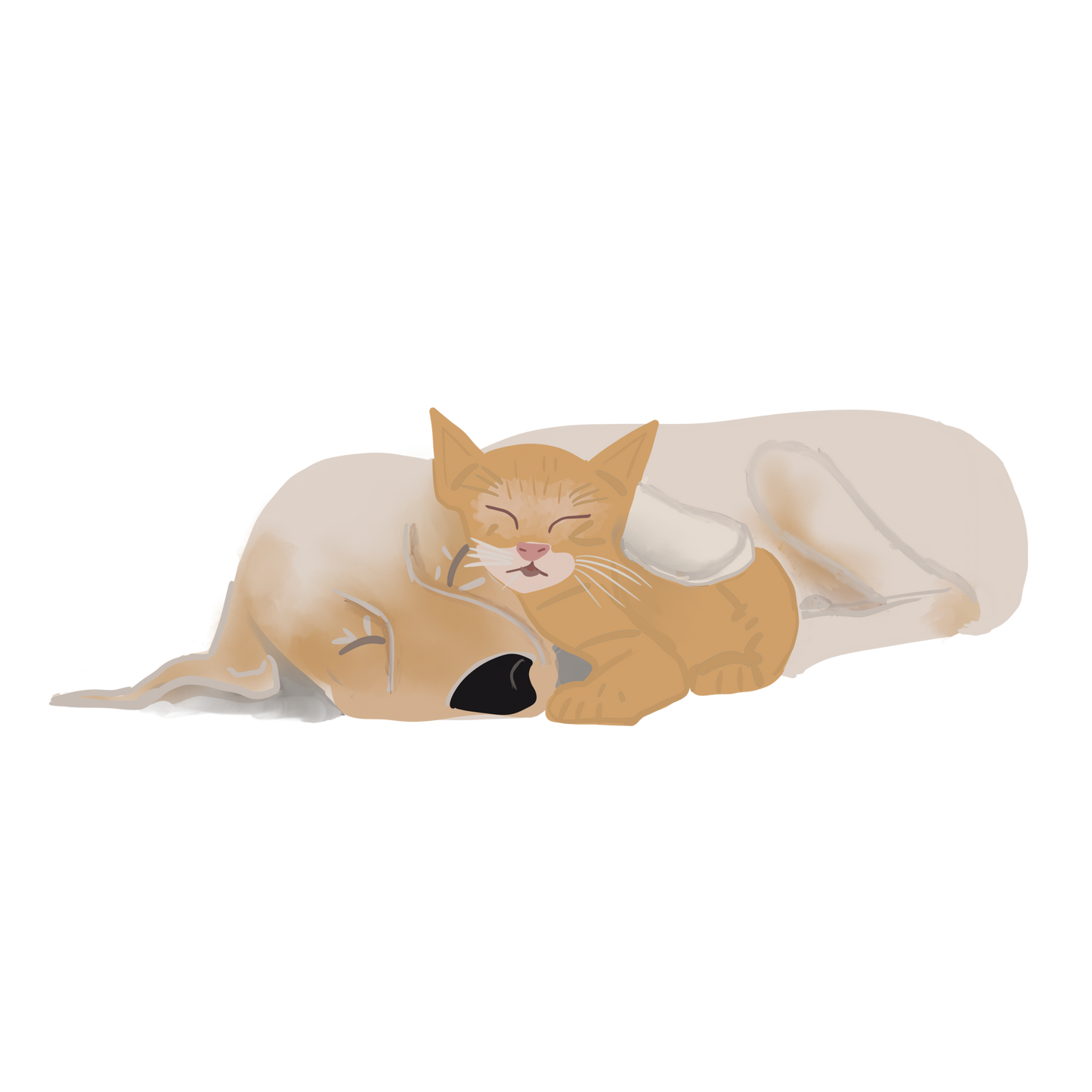 Pet Portrait Mug – Custom Illustrated Pet Mug From Your Photo